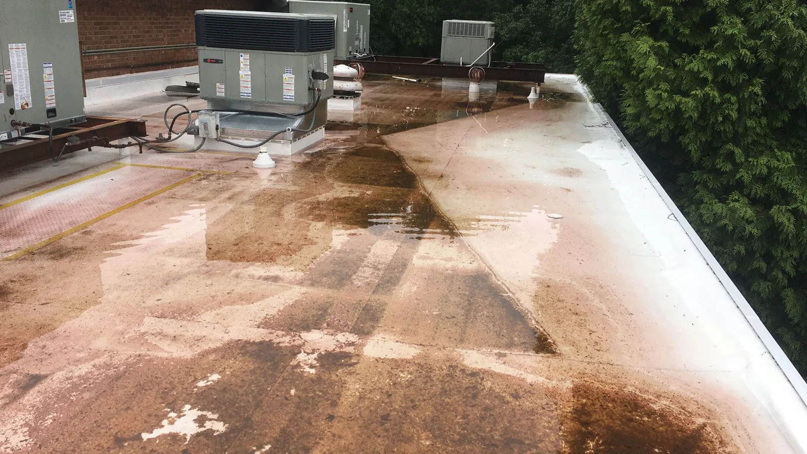 Commercial Ponding Water Roof Repair in Arvada, CO