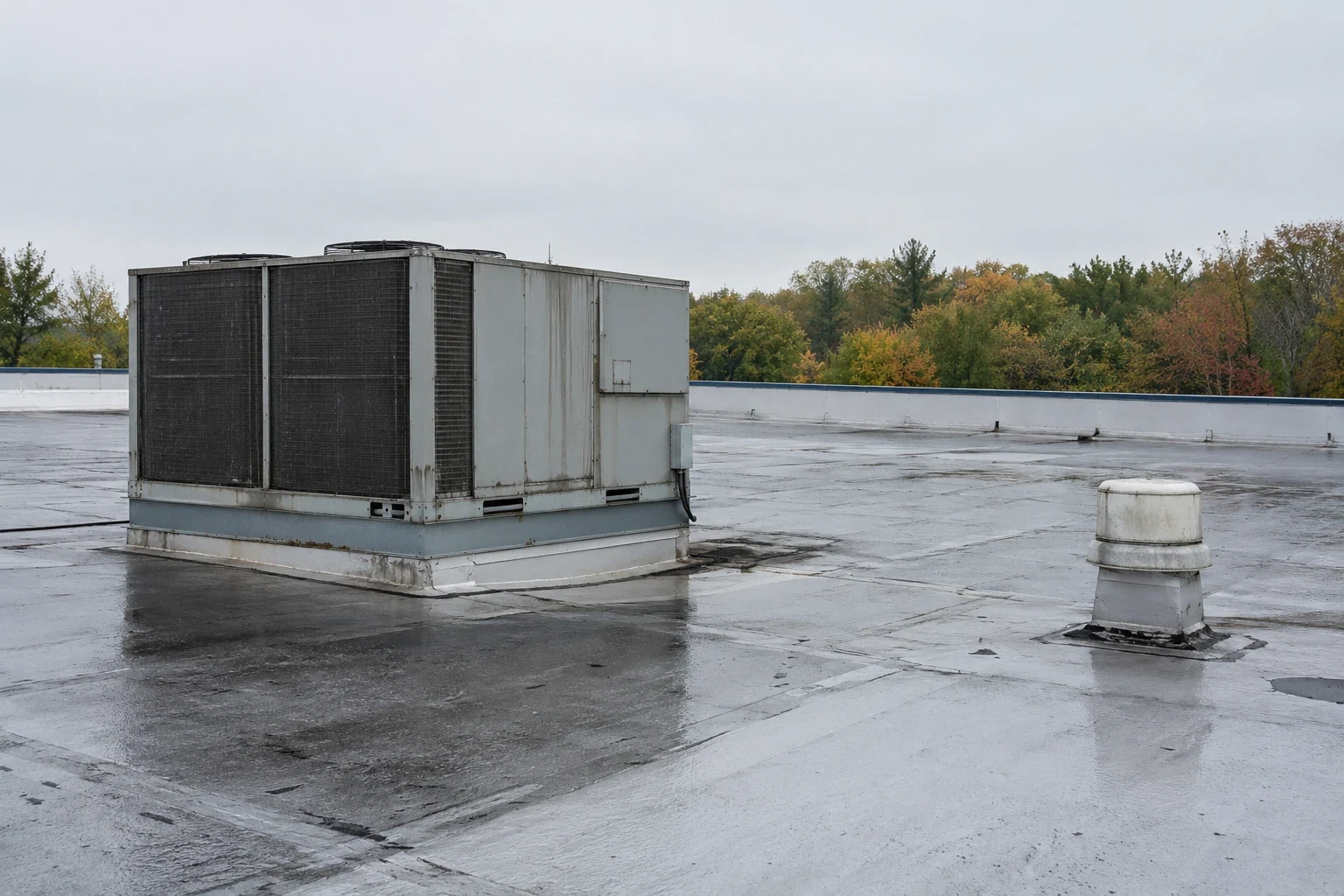 Cold Storage and Freezer Roofing in Arvada, CO